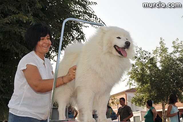 Concurso canino Fiestas de Santiago 2009 - 34